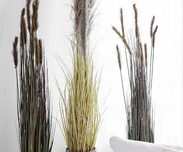 公寓 City Holiday 3 *